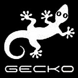 Gecko